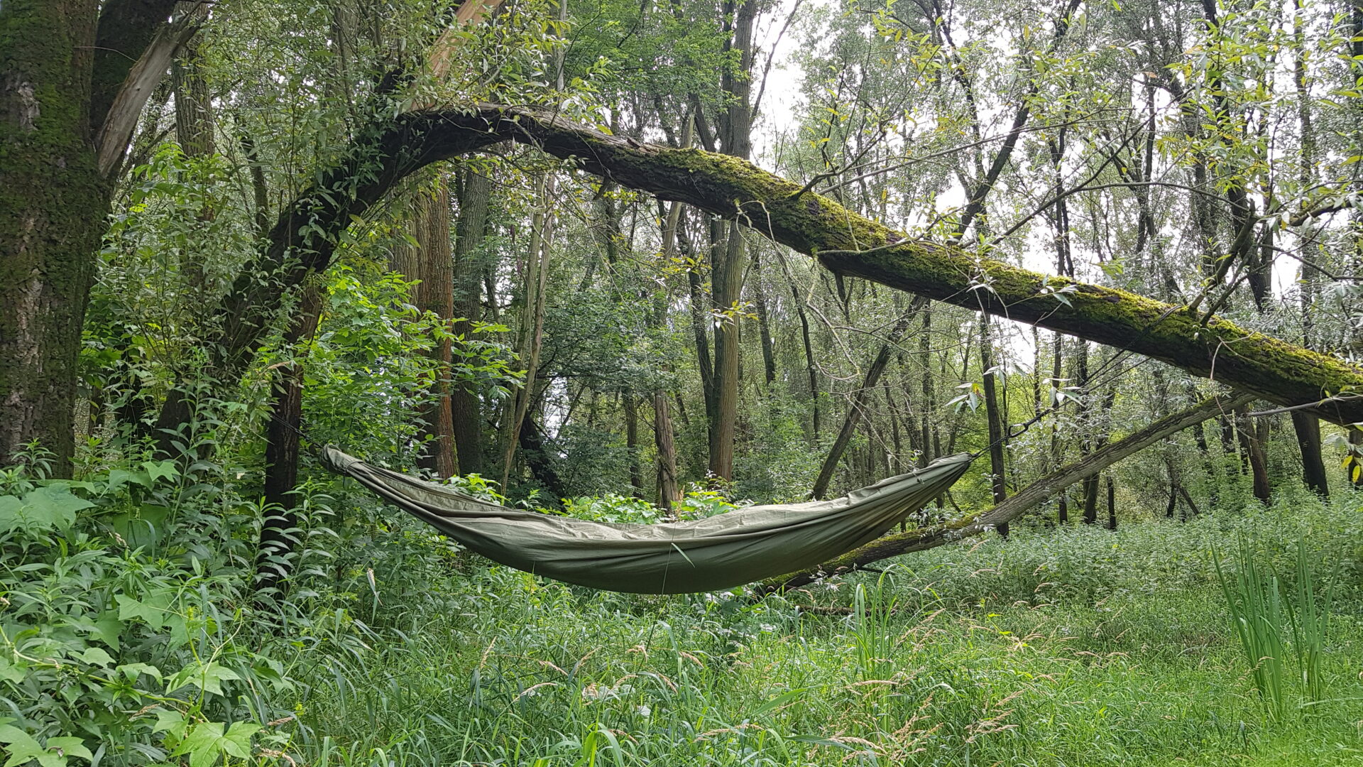BUSHMEN ZEN Ultralight Hammock set OLIVE